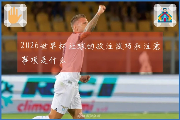 2026世界杯让球的投注技巧和注意事项是什么