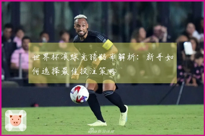 世界杯滚球竞猜赔率解析：新手如何选择最佳投注策略