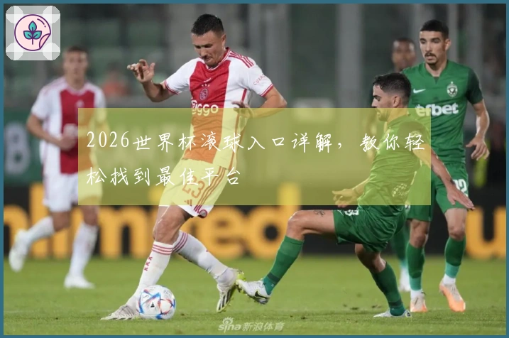 2026世界杯滚球入口详解，教你轻松找到最佳平台