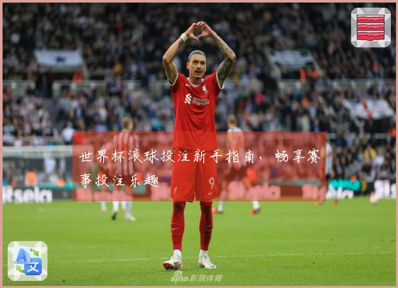 世界杯滚球投注新手指南，畅享赛事投注乐趣