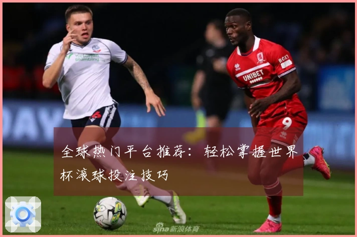 全球热门平台推荐：轻松掌握世界杯滚球投注技巧